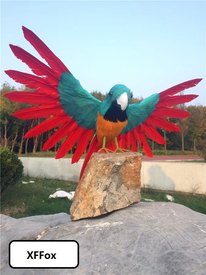 real life parrot model foam&feather wings parrot bird garden decoration gift about 30x50cm d0257