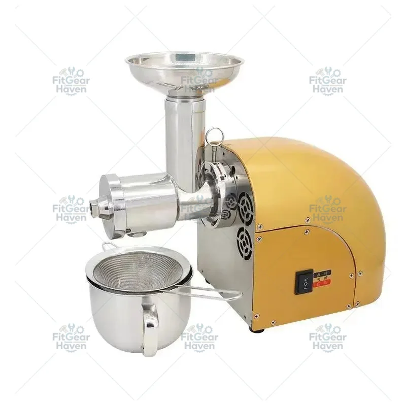 304 Stainless Steel Slow Masticating Juicer, Low Speed Cold Press Juice Extractor for Fruit & Vegetable, Compact Design
