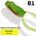 B1