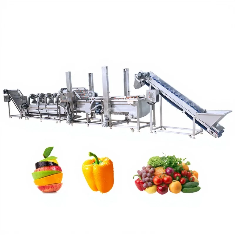 Automatic Vegetable Washing Processing Machine Dragon Fruit Avocado Sorting Washing Waxing Production Line