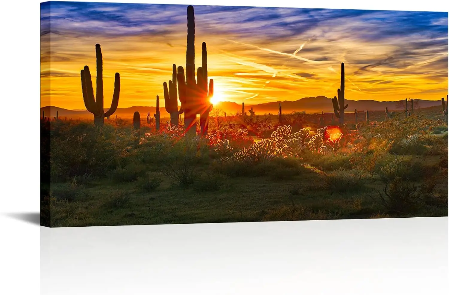 

Modern Canvas Wall Art Golden Sunset Arizona Sonoran Desert Landscape Painting Saguaro Cactus Pictures Print