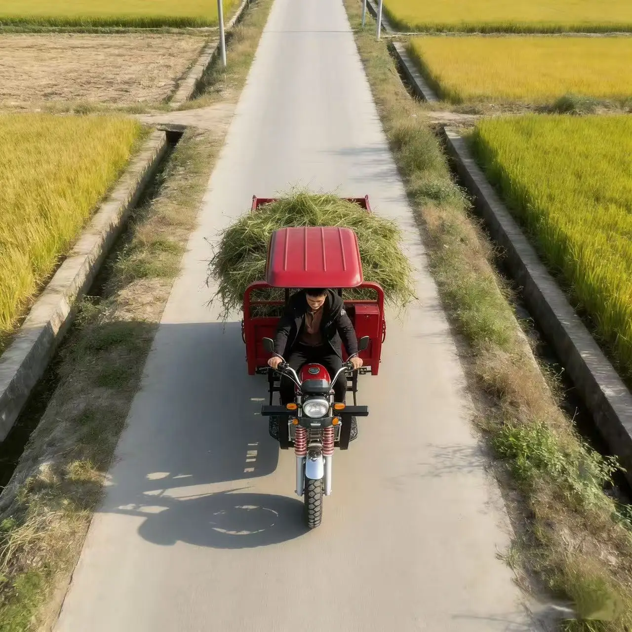 hf-Factory Direct-sale Safe and Reliable Fuel-powered Three-wheeler with Canopy and Self-unloading Function