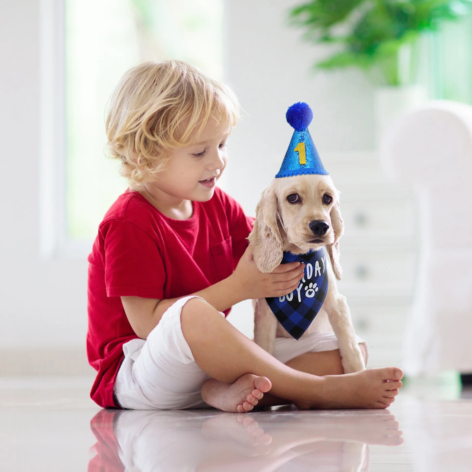 

Dog Birthday Party Supplies Blue Hat Bandana Set Dogs Decorations Puppy Celebration Pet Accessories Dog Bandana Large Cats