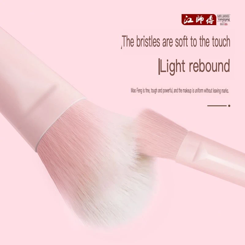 Master Jiang-Juego de Mini brochas de maquillaje con espejo, 10 piezas, portátil, colorete, corrector, sombra de ojos, delineador de ojos, brochas para polvos sueltos