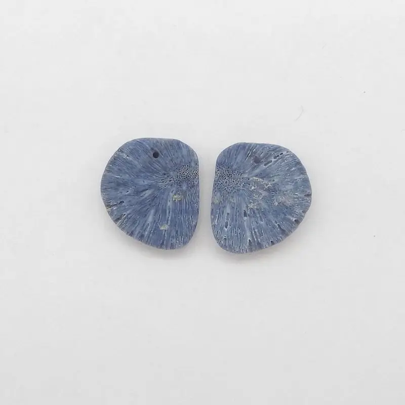 Natural Blue jasper Earrings Pair Polished round Gemstone with Radial Textural Patterns Ocean-Inspired Artisanal Jewelry