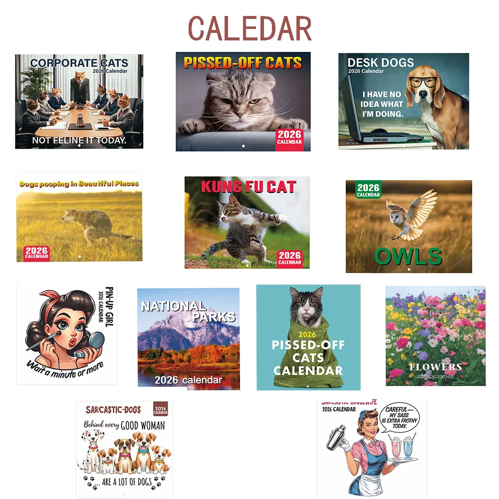 

2026 Wall Calendar 12-Month Calendar Monthly Planner Hanging Calendar for Office School Home Gag Gifts