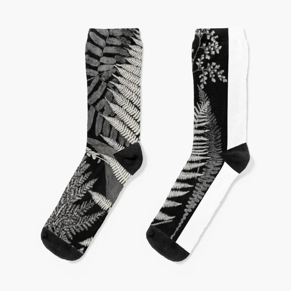 

Botanical Ferns Socks crazy halloween with print Rugby Designer Man Socks Women's