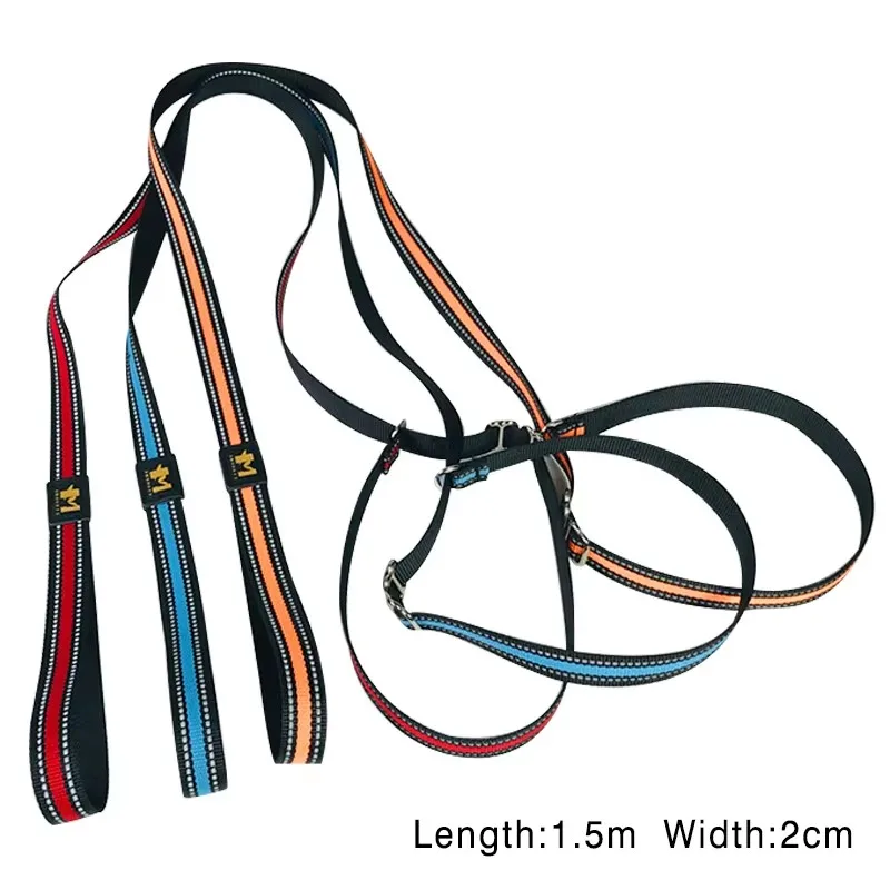 Training Dog Choking Rope Leash 2 in 1 Lead Collar 150cm P-Shaped Chain Slip Lead Control Leash for Small Large Competition Dogs