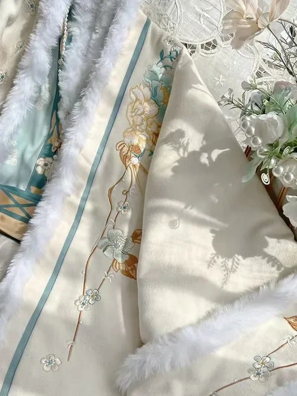 Robe Hanfu de la dynastie des chansons pour femmes, ensemble Vintage, robe de princesse en putomne et hiver