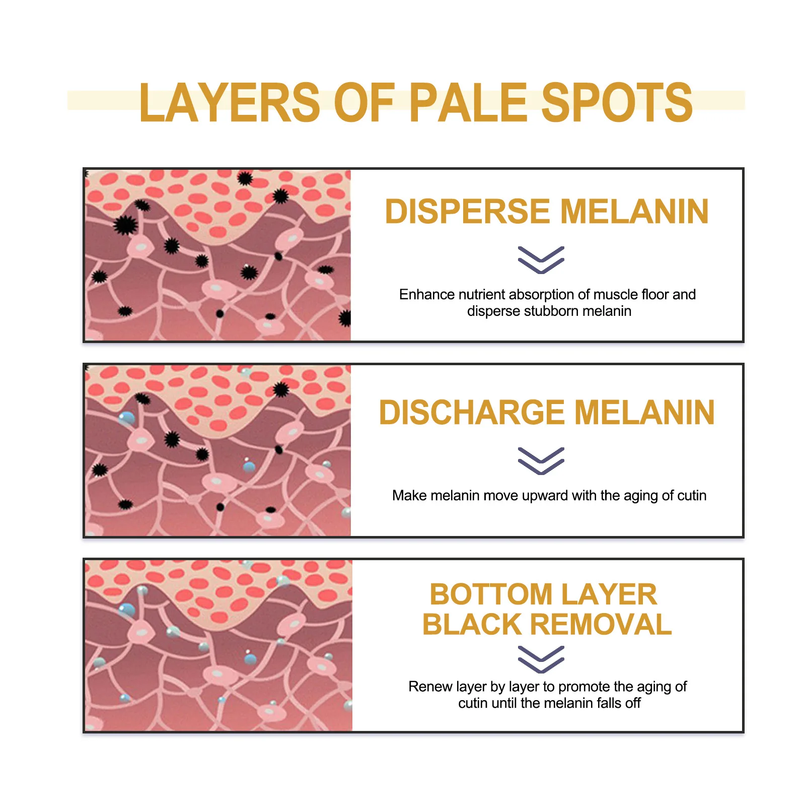 Crème Visage Éclaircissante et Hydratante pour Blanchir le Melasma SAF et les Taches du Soleil, Recommandé Silvertsuing