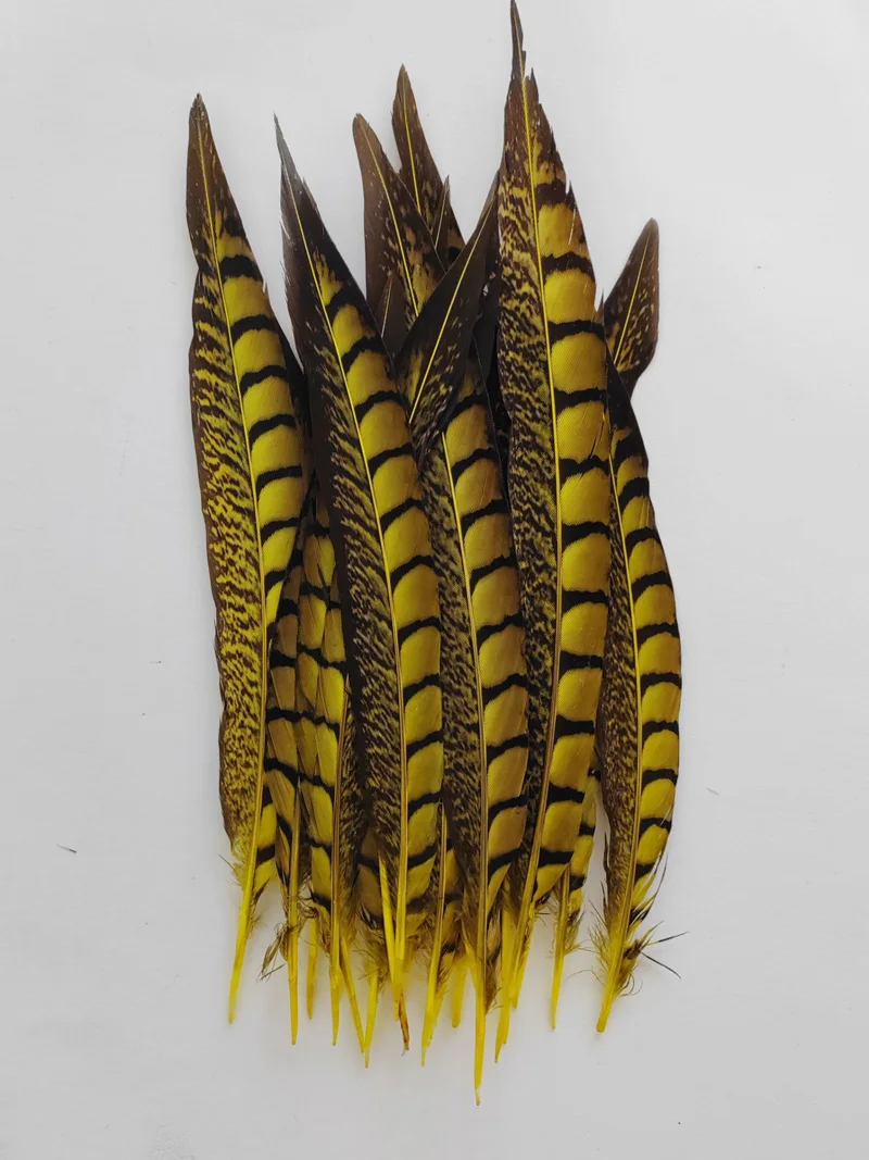 Wholesale!20PCS/LOT!17-25CM Loose Yellow Lady Amherst Pheasant Tail Feathers Quills Natural Feathers for Crafts