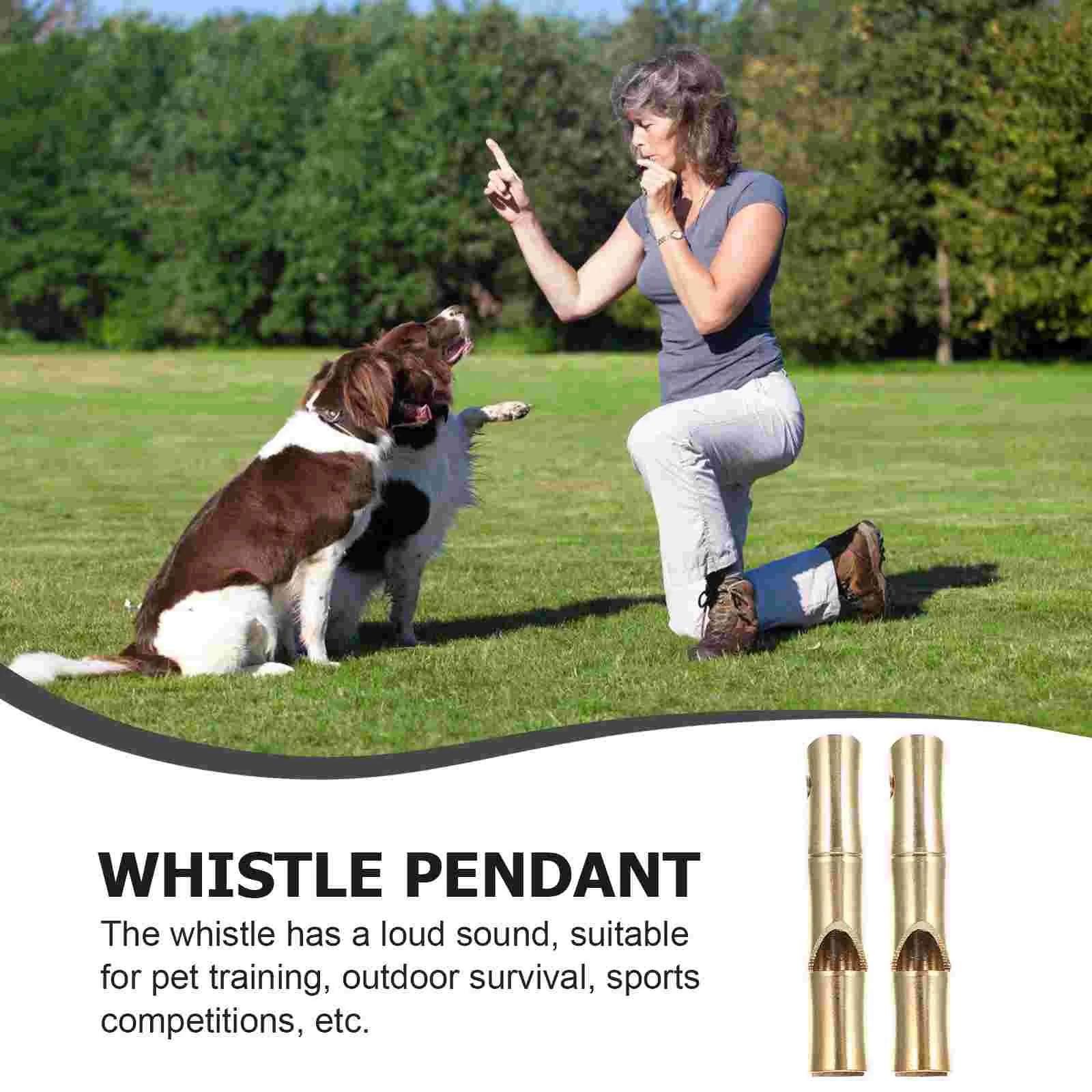 Outdoor Survival Whistle Key Fob Party Favors Loud Travel Portable Safety Whistles