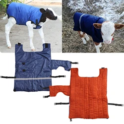 Cow Calf Vest Calf Cold protection Coat Thermal Suit Livestock Oxford Fabric Coat Wind-Proof and Water-Proof Calf Warm Clothing