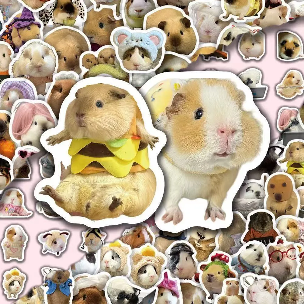 100Pcs HD Cute Transform Animal Hamster Stickers Pack, Decorate Cup Skate Scrapbook Storage Box Phone Lunch Box Vinyl Decals