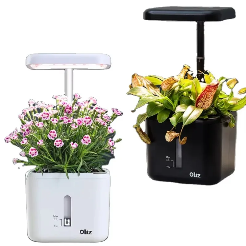 : Scatole di germinazione e macchina di germinazione