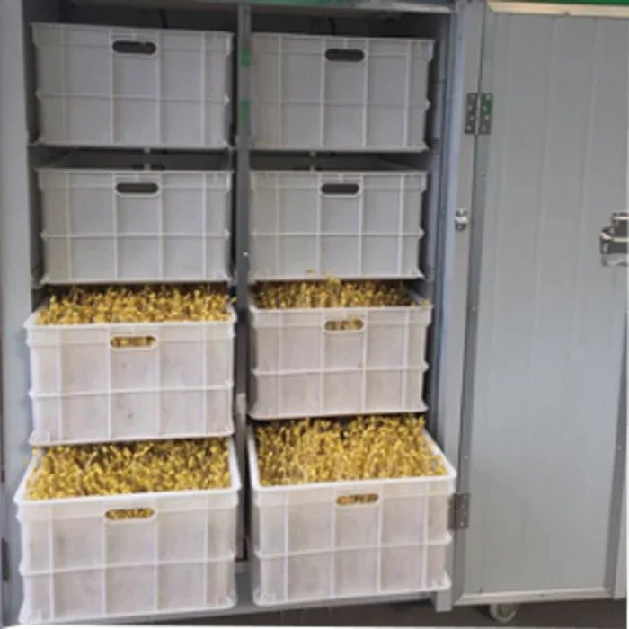 Máquina de alimentación de plántulas de hierba animal, máquina de brotes de frijol de cebada, máquina de cultivo de brotes de soja