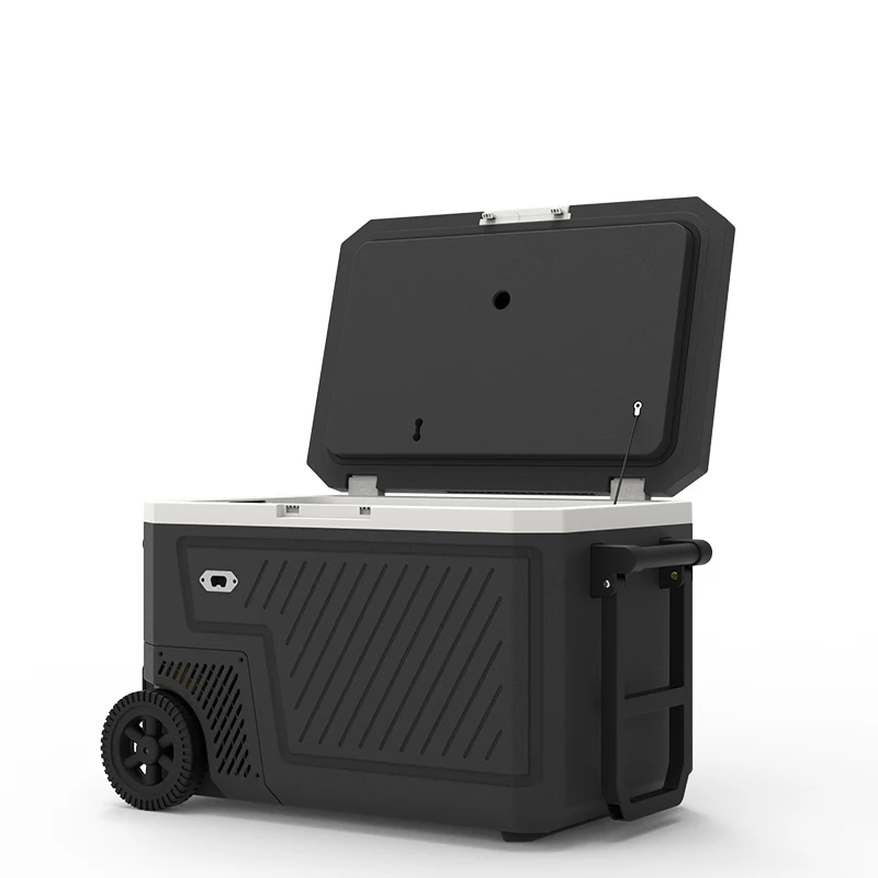 휴대용 냉장고 냉동고 쿨러 박스 (HD 터치스크린 제어 및 블루투스 앱 지원, 선택 사항)