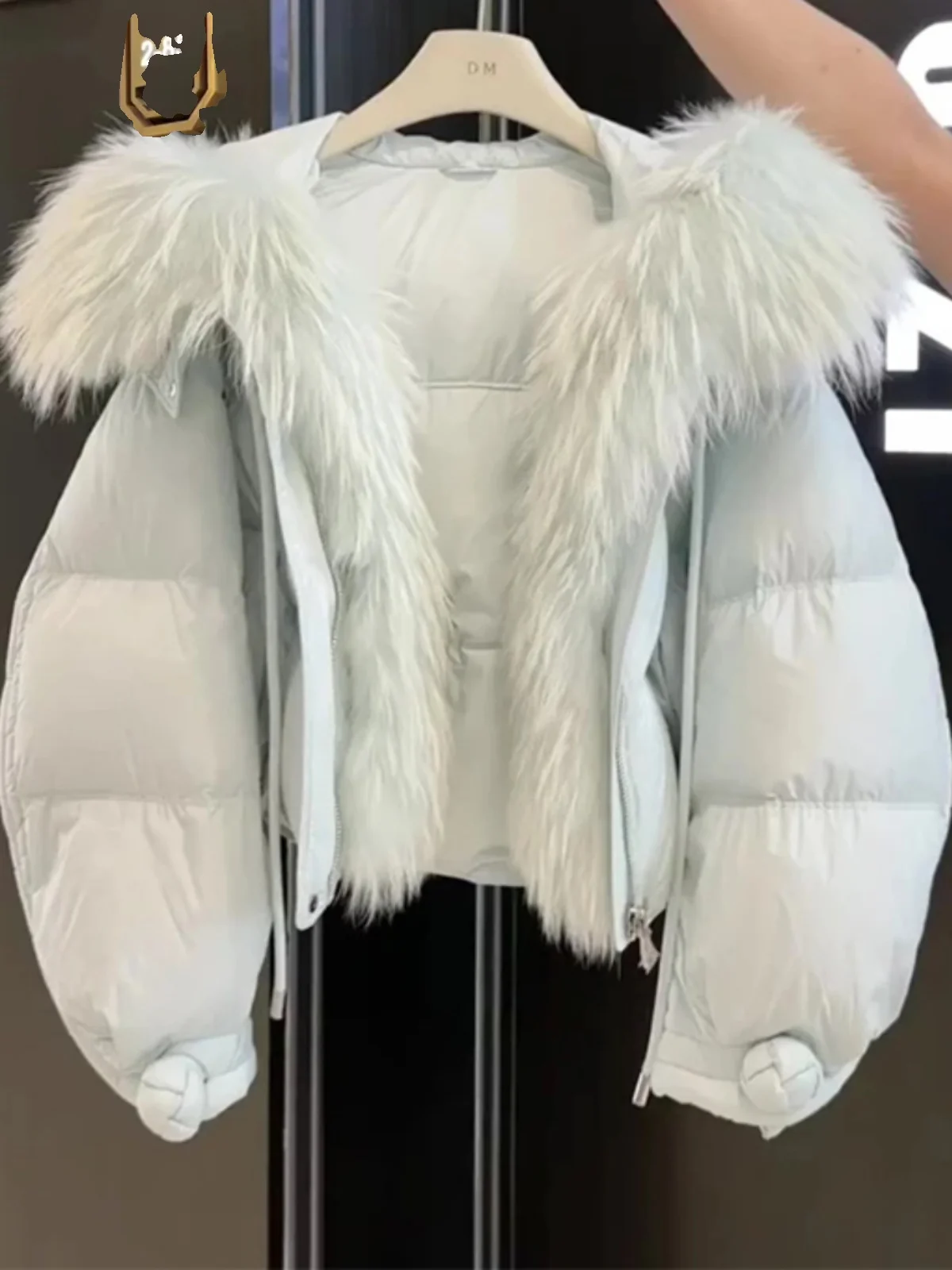 

Winter Thickened Short Cotton Jacket Women's Fashion Korean Style Coat Warmth Large Fur Collar Commute Regular Sleeve Long