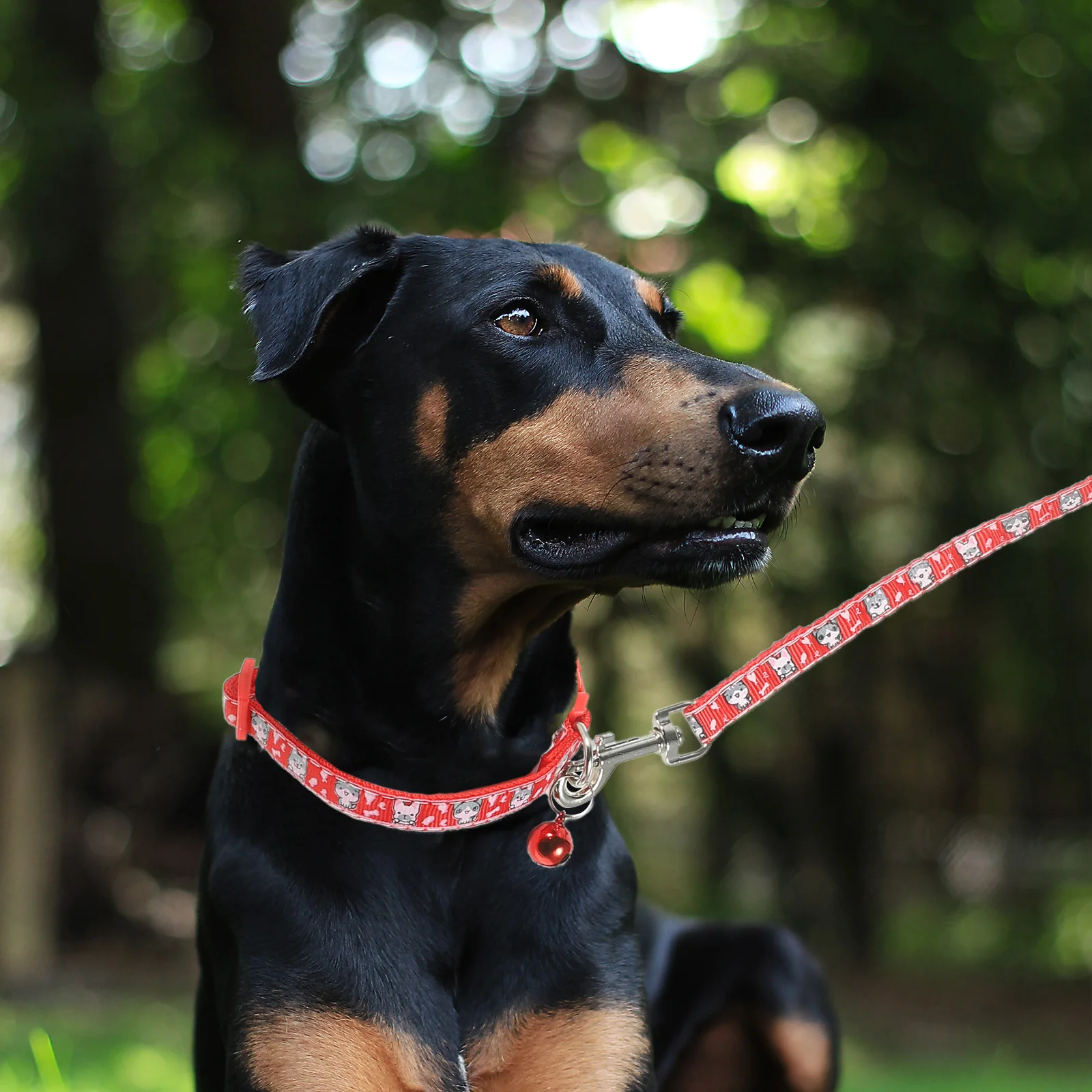 

Polyester Dog Leash Training for Medium Large Dogs Swivel Clip Wear Resistant Obedience Recall Backyard
