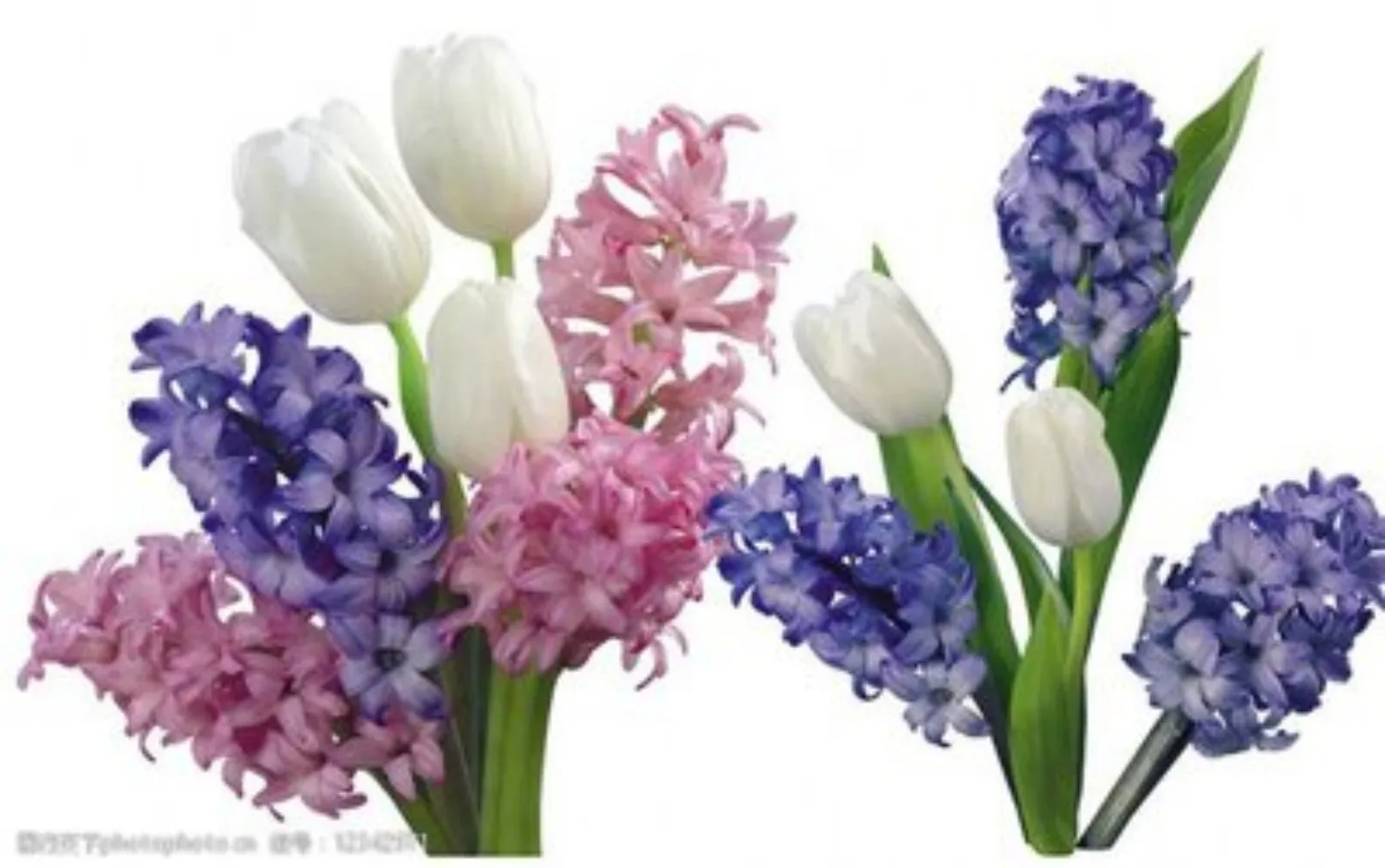 300404-Romantic Floral Hand Paint By Numbers Home Decoration Art