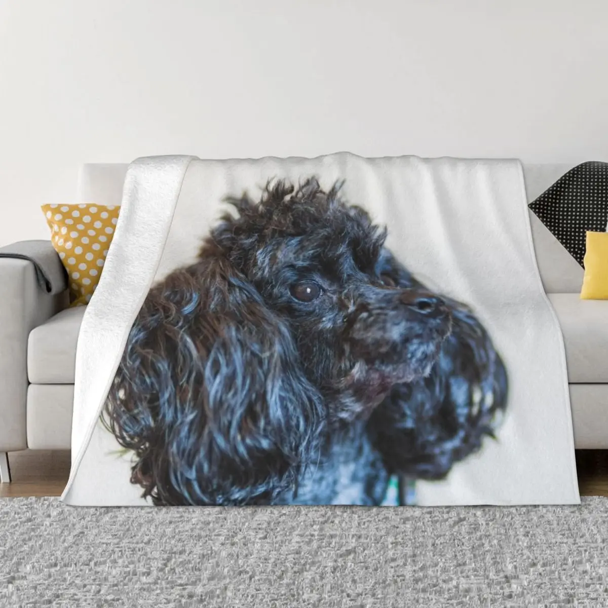 Classic poodle Throw Blanket Hairys Luxury Designer Blankets