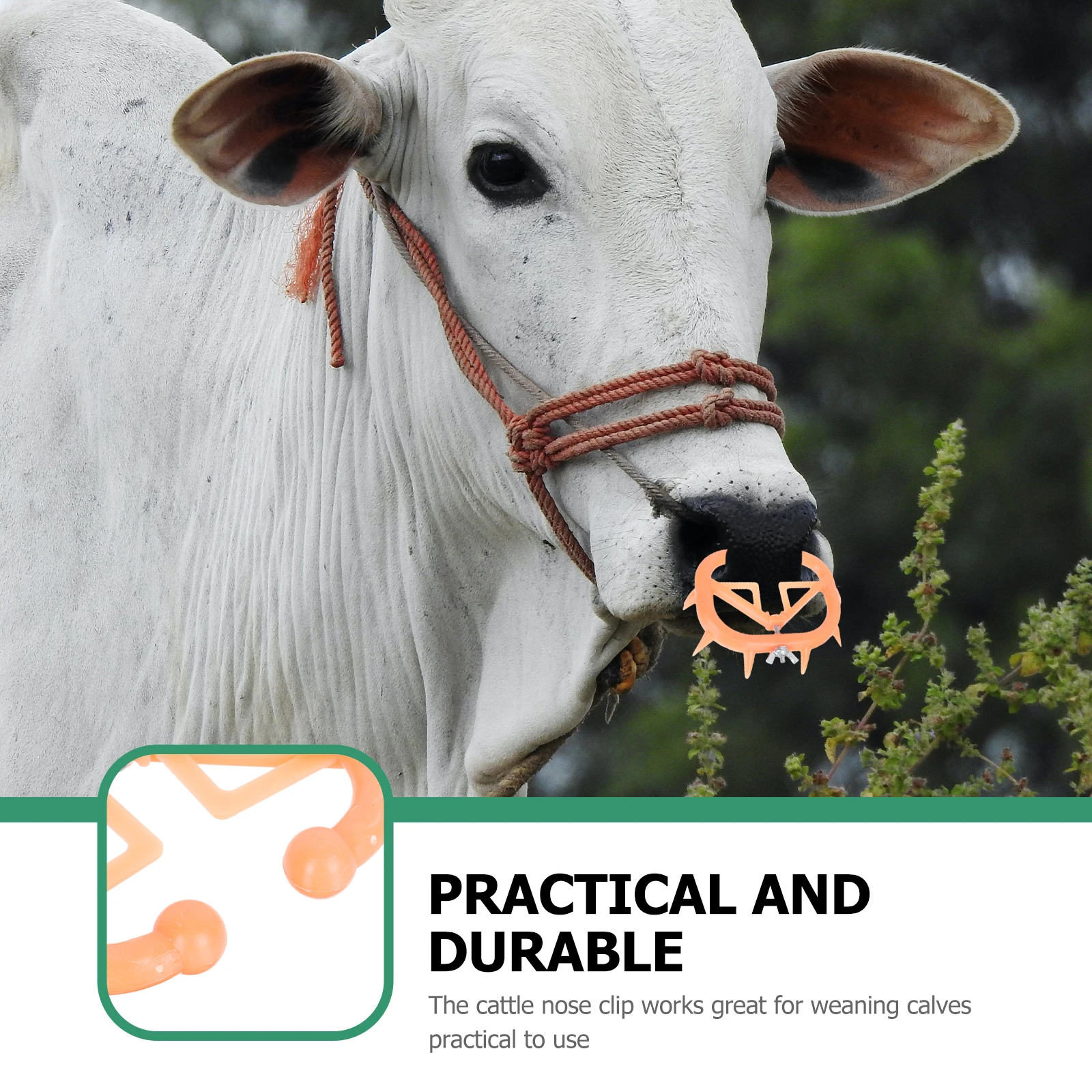 

6 Pcs Nose Ring Bull Clip Cattle Clamps Calf Weaner Farm Accessory Weaning Tool