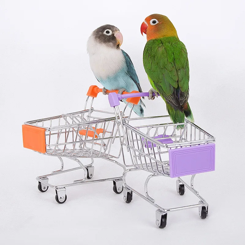 Bird Training Toy Supplies Basketball Stand Lovebird Shopping Cart Bird Toy Shoes Canary Skateboard Parrot Toy Accessories