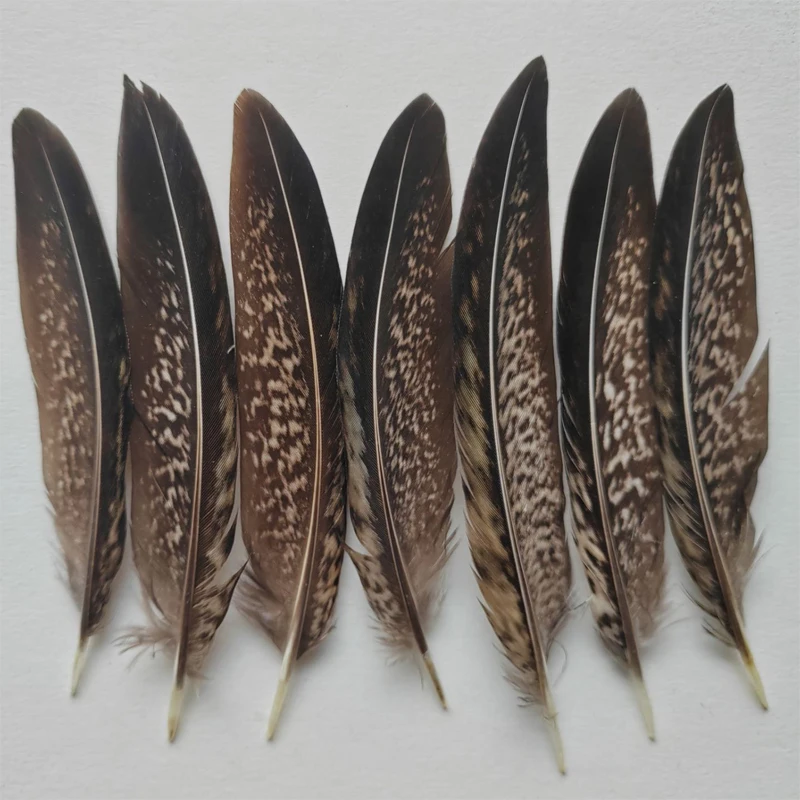 

50Pcs/Lot 4-6" 10-15cm Lady Amherst Pheasant Tail Feathers Wholesale Loose Quill Natural Smudge Wand Black Brown
