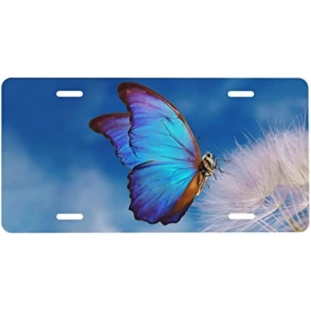 Placa de matrícula decorativa para coche, cartel de pared de Metal Vintage, frontal de mariposa azul, flor, Noverlty, decoración del hogar