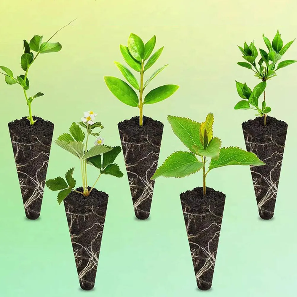 

10 шт. высококачественных губок для выращивания растений без почвы, для гидропоники, выращивания овощей, для балкона, для домашнего садоводства