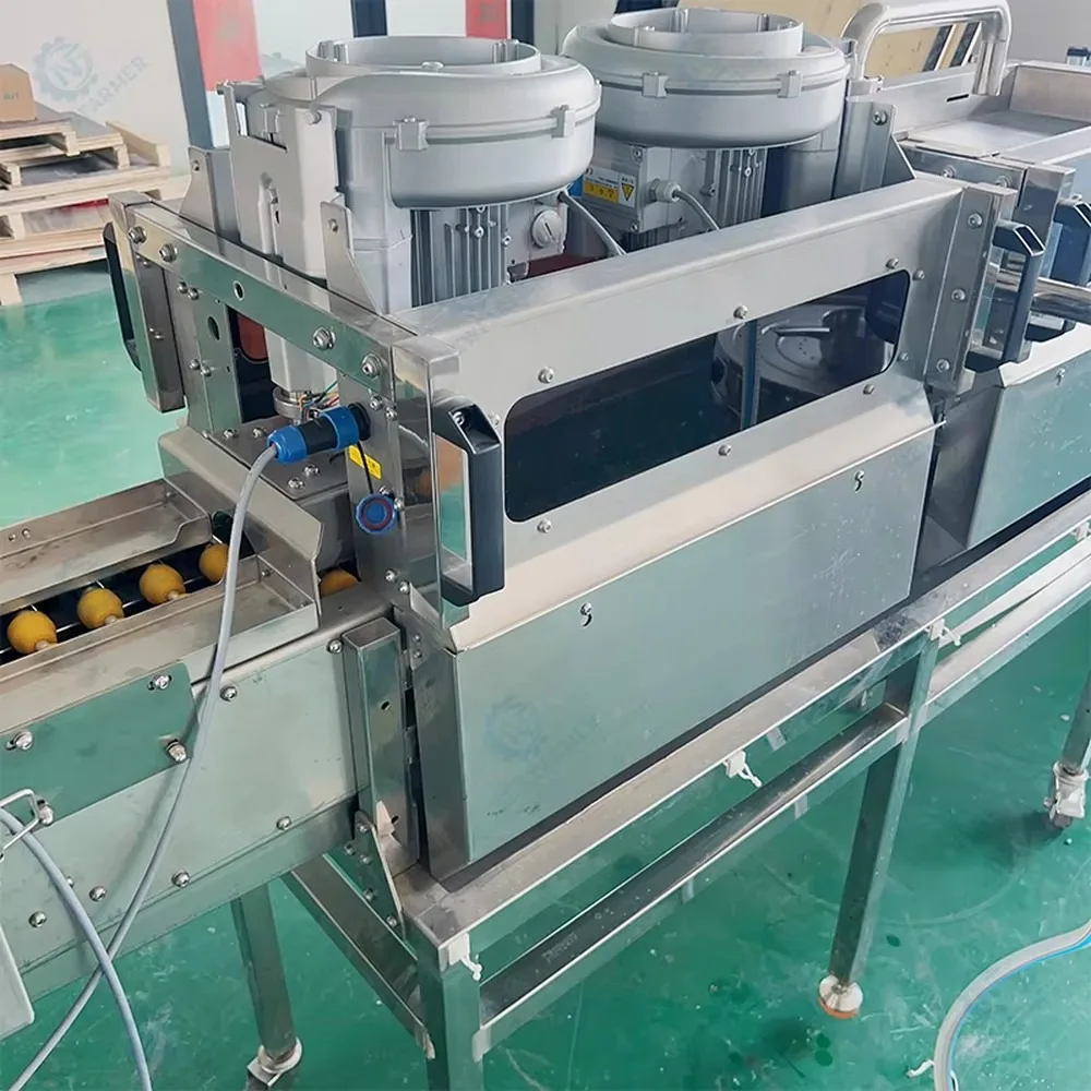 Automatic Egg Washing Machine Continuous Egg Shell Cleaning Equipment Water Saving Design for Farm Use