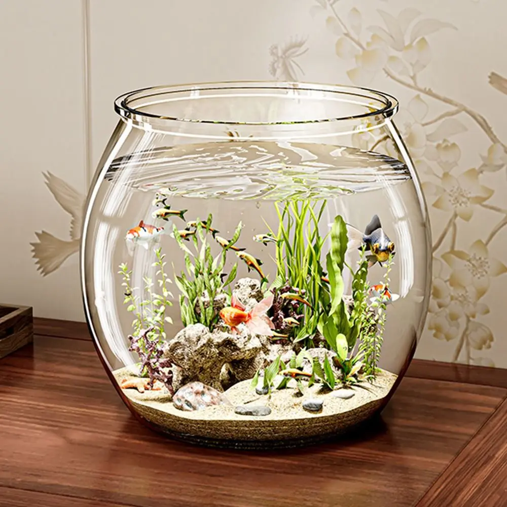 Thumbnail 2 - #28 Discounted Desktop Fish Bowls Worth Buying