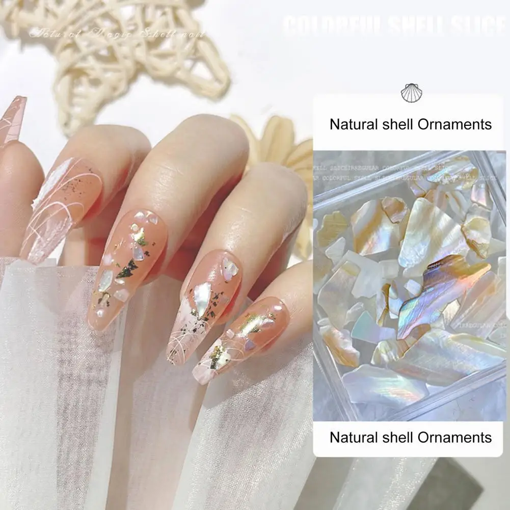 1 Box Nail Art Decor Irregular Shape Ultra-thin Illumination DIY Non-falling Nail Jewelry Shell Natural Shell Pieces Nail Supply