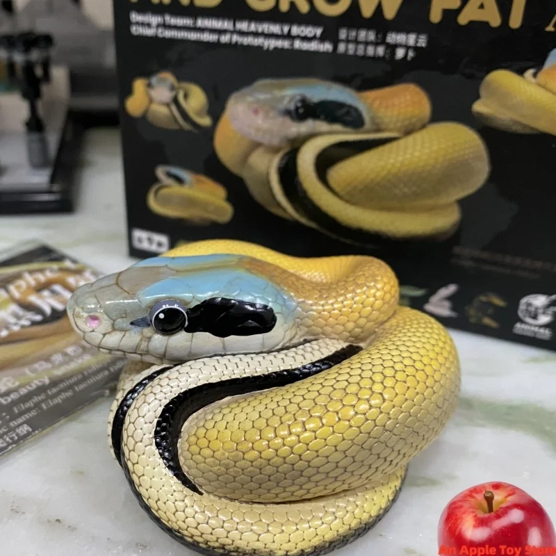 

Animal Heavenly Body Popular Pet Snake 6.5-10 Fat Series 23 Bullet One Snake 3.0 Mini Resin Animal Model Toys Gifts