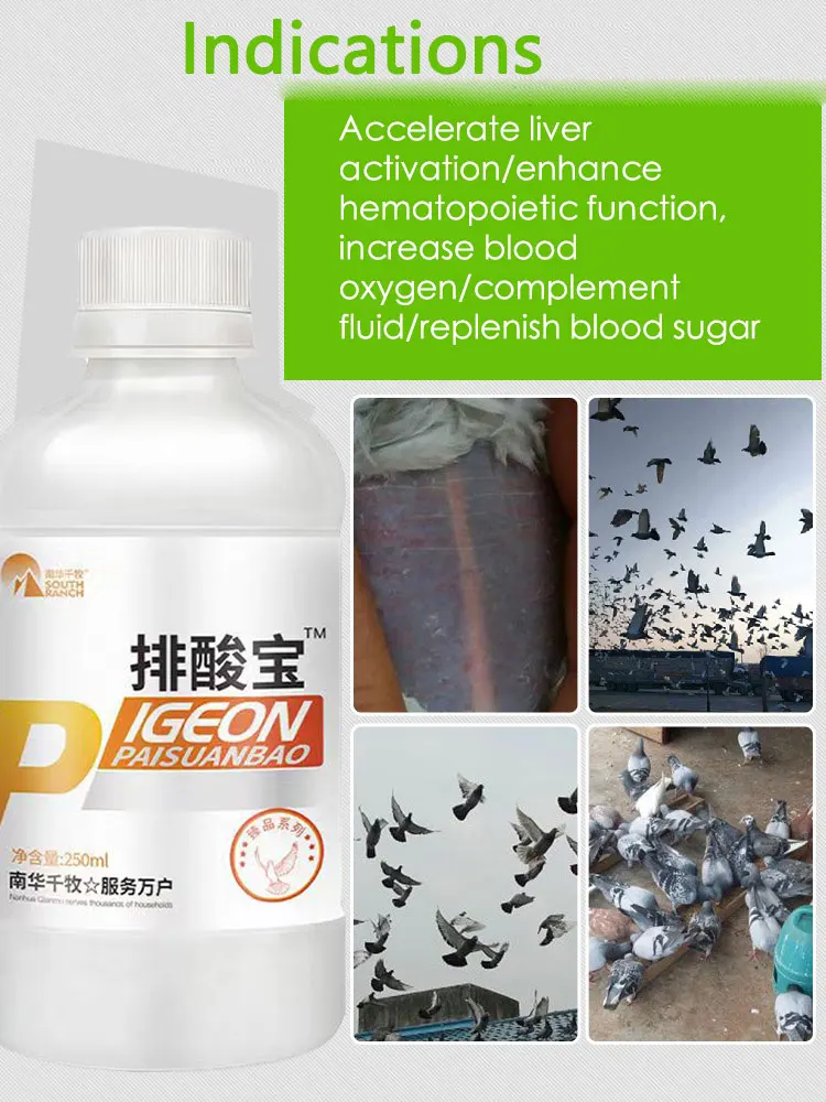 Pai Suanbao Pigeon Racing Pigeon Homing Pigeon Magic Treasure Competition Conditioning Nutrition Supplement Can Relieve Fatigue