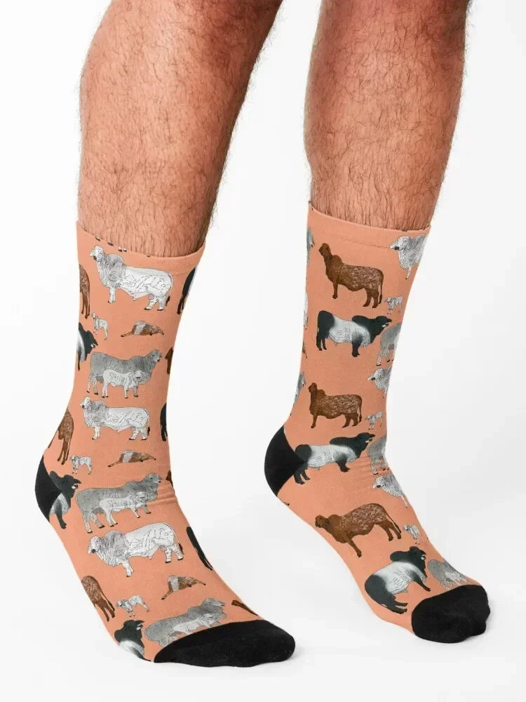 Brahman الماشية الخوخ الجوارب بالجملة أحذية المشي لمسافات طويلة رجل مجموعة الجوارب للرجل المرأة