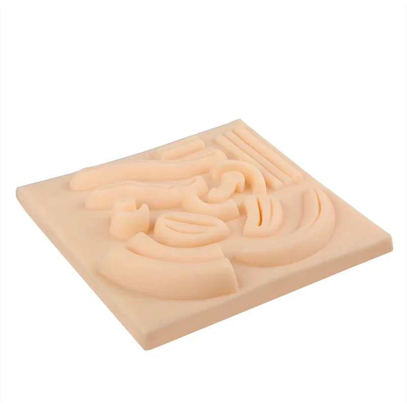 Abdominal Suture Practice Model – Large Simulated Cavity & Wound