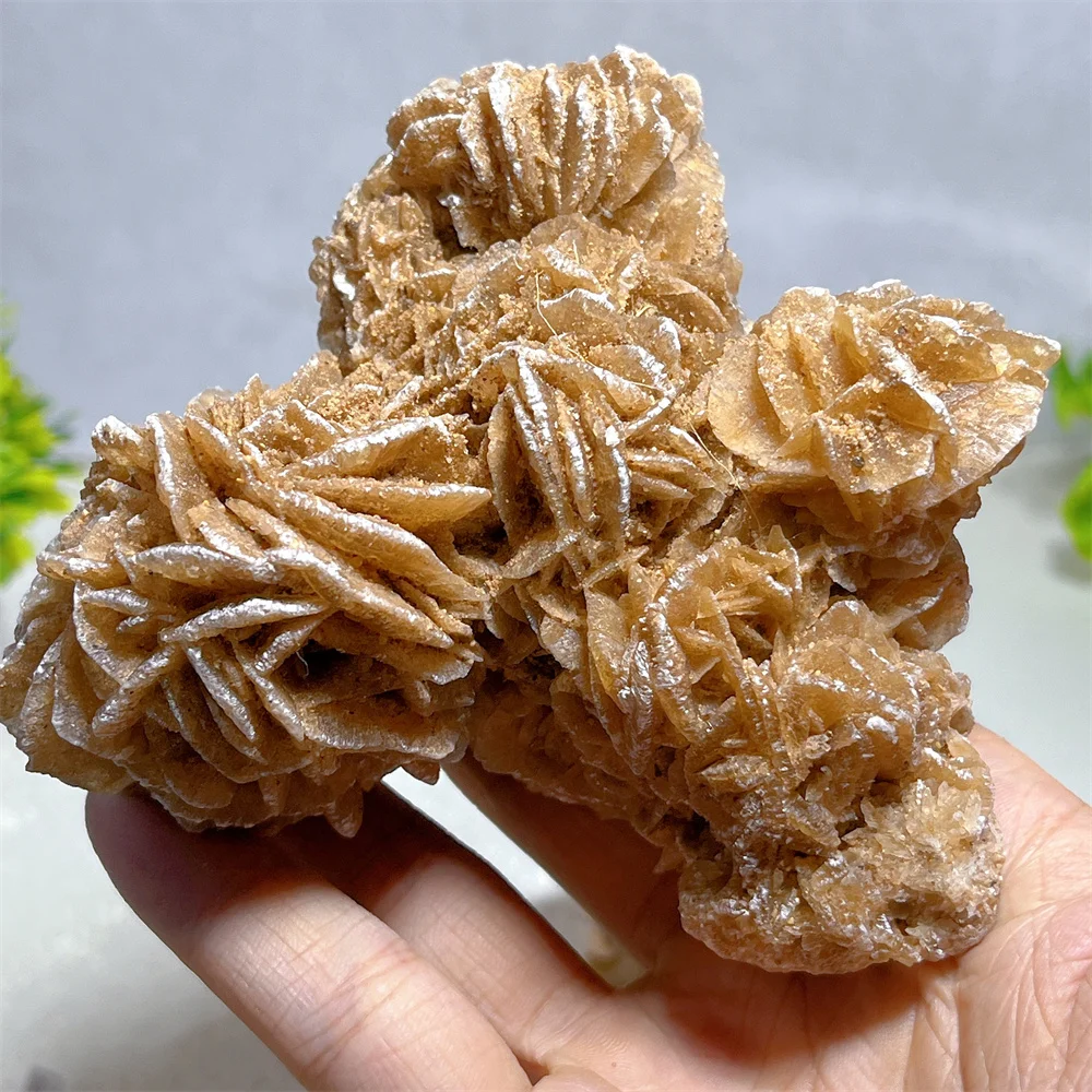 Rose Desert Specimen Stone Quartz Crystal Natural Minerals Witchcraft Geode Energy Gemstones Home Decoration Reiki Healing