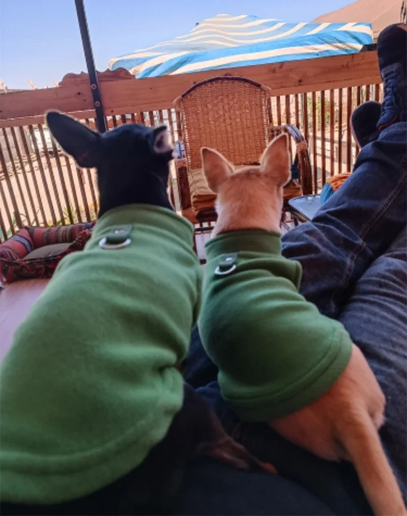 Hundebekleidung, Wolljacken, Chihuahua-Kleidung & Zubehör, Kostüme für Hunde, Bulldoggen, Haus & Garten, Frankreich, Wärmeweste für Welpen – Detail 11