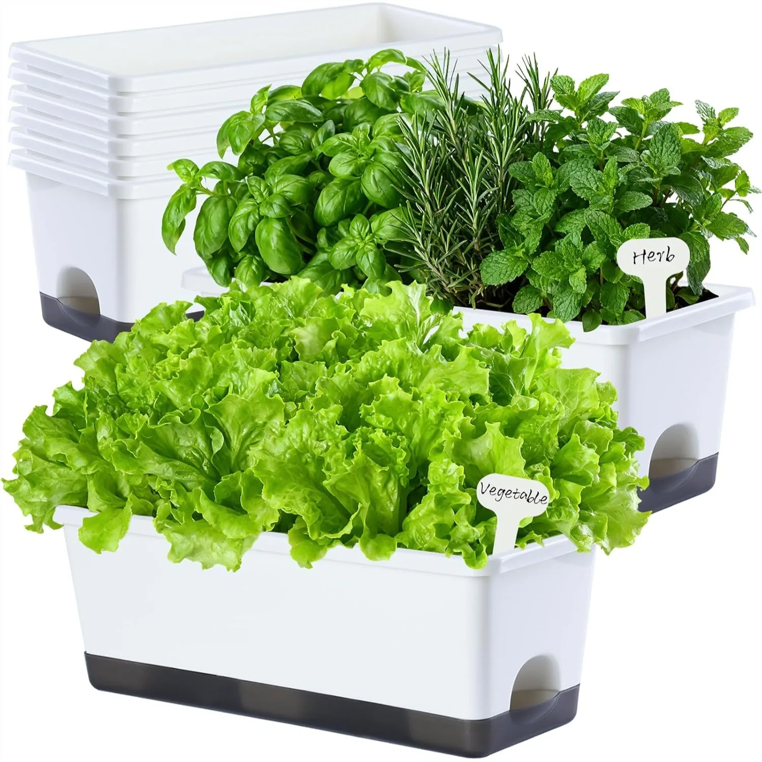 

Window Box Planter 8 Pcs 17 Inch Rectangle Flower Pots with Self Watering Design for Windowsill Patio Garden Balcony Indoor