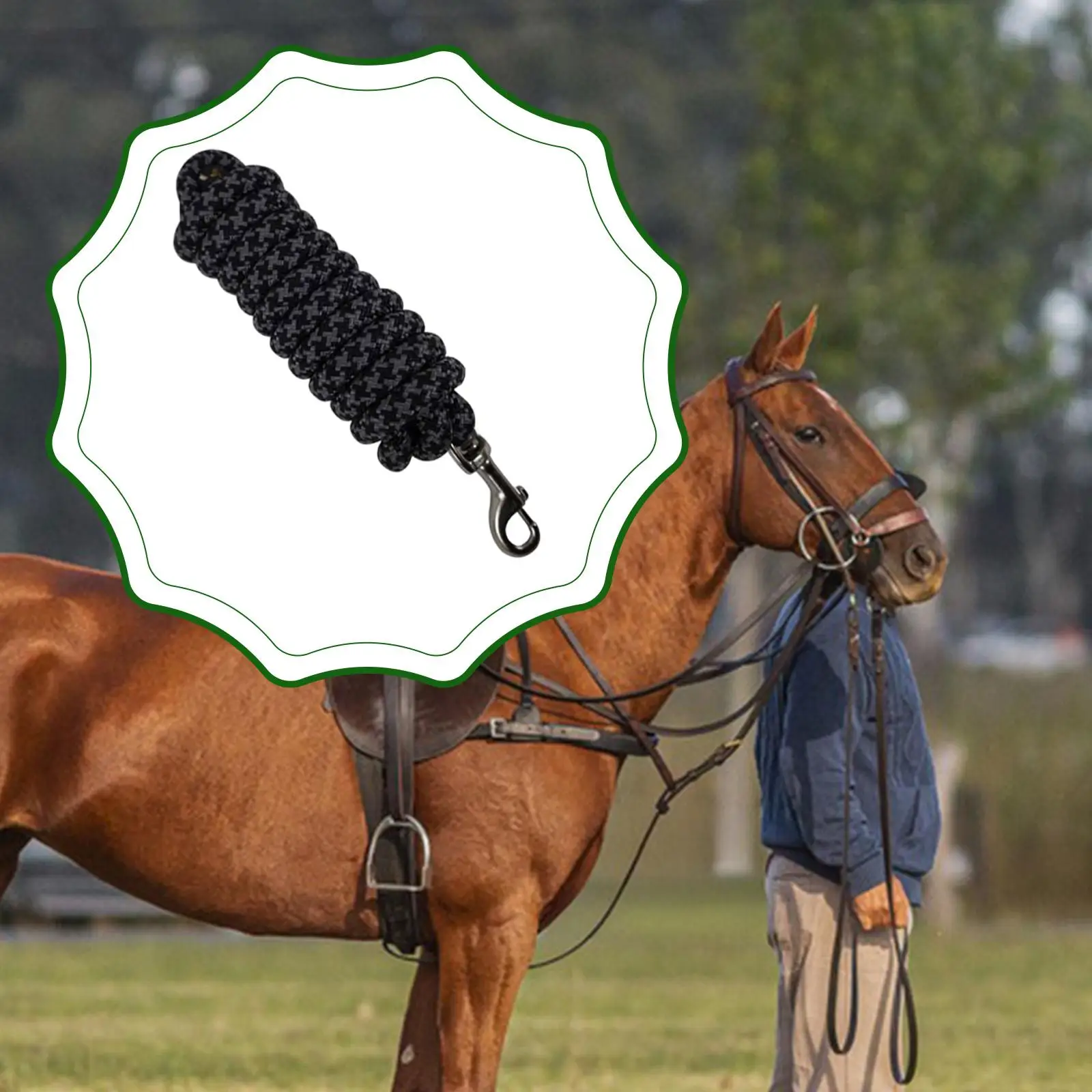 Heavy Duty Horse Lunge Line 250cm Nylon Lead Rope Attach to Halter Secure Snap for Horse Training Sessions