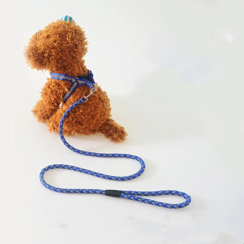 

Strong Dog Leashes, Reflective Leash For Small, Medium, Large Dog, Drag, Tow, Golden Retriever