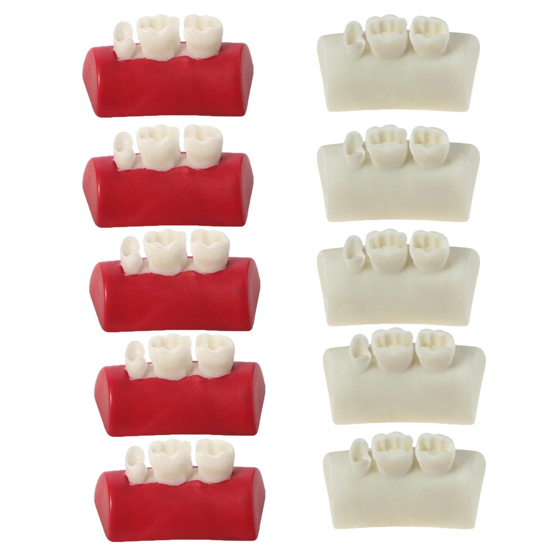 5pcs Dental Inlay Exercise Model Block Filling Exercise Typodont Resin Materials for Dentistry Teaching Study