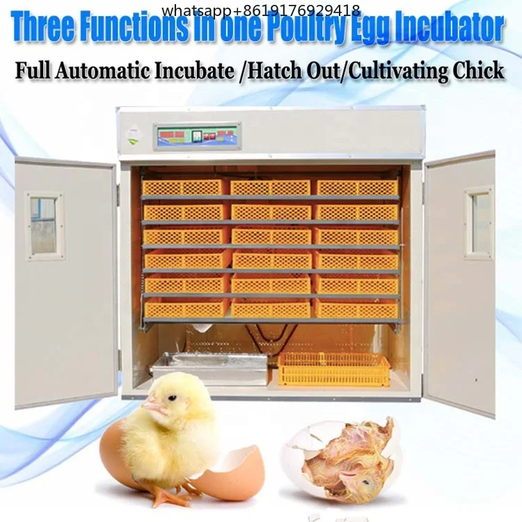 حاضنات آلة التفريخ المشهورة لتفريخ البيض حاضنة البيض الأوتوماتيكية والتفريخ/ 880 قطعة // #2