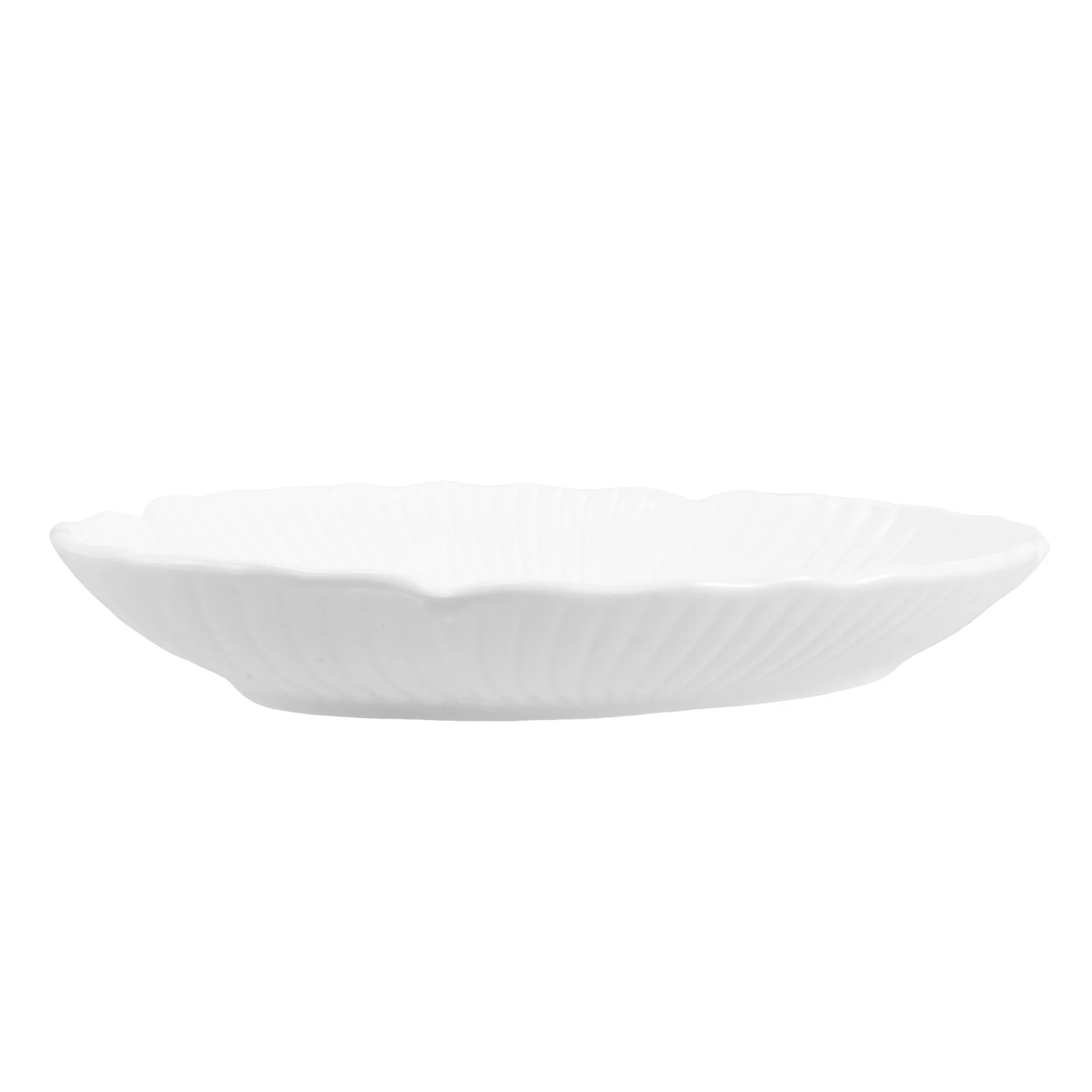 

Photography Decorative Plate Elegant Versatile Use Creative Shape Background Porcelain Appetizer Sauce Dip