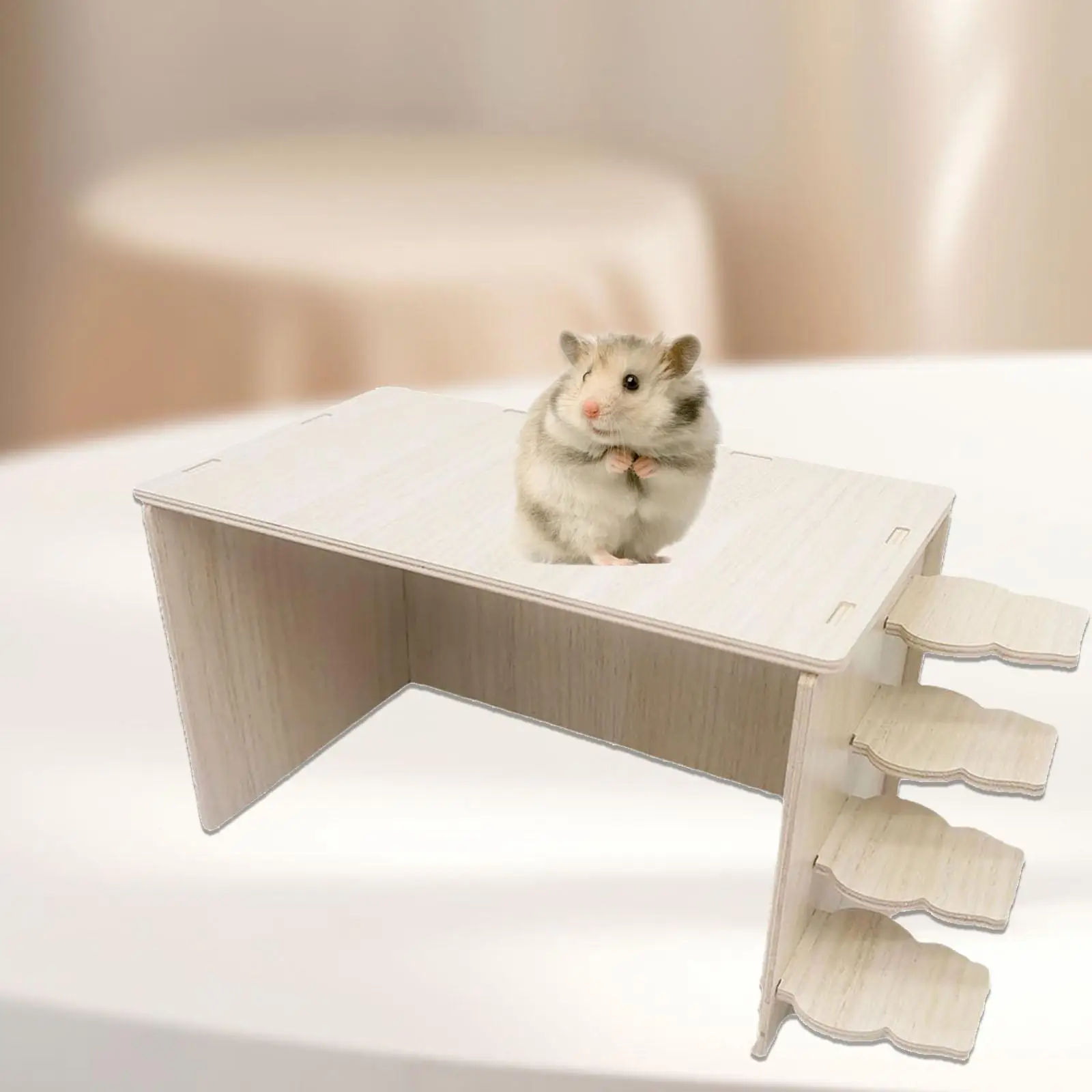 Hamster House Rest Easy to Assemble Habitat for Small Animals Mouse Hedgehog