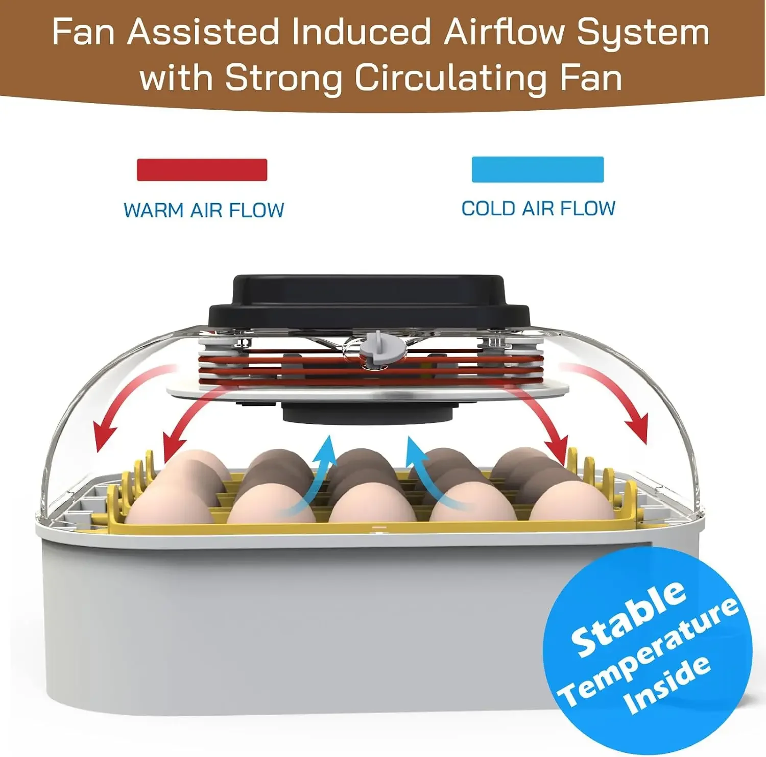 20 Egg Incubator with Humidity Display, Egg Candler, Automatic Egg Turner, for Hatching Chickens