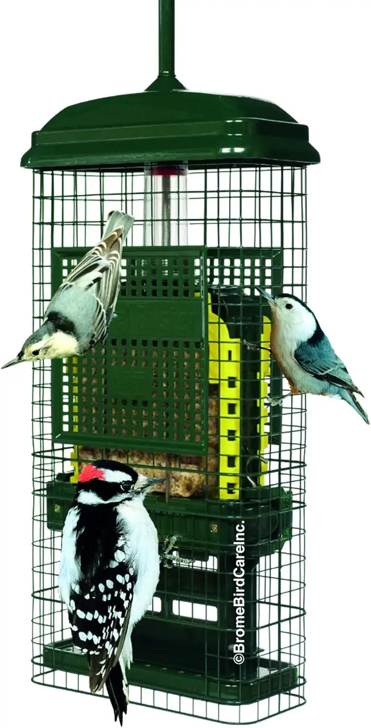 

Squirrel Buster Suet Squirrel-proof Suet Bird Feeder W/2 Cake Trays, 2 Crumb Ports, Mess-free Loading,Green Bird Feeder