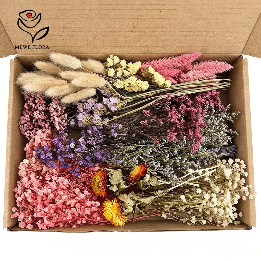 Buntes Trockenblumen-Set mit Hasenschwänzen, Schleierkraut und Helichrysum, Natürlich Konservierte Pflanzen für Heimdekoration, Hochzeits-Tischdekoration, DIY Harz-Kunsthandwerk, Vasenfüller, Florale