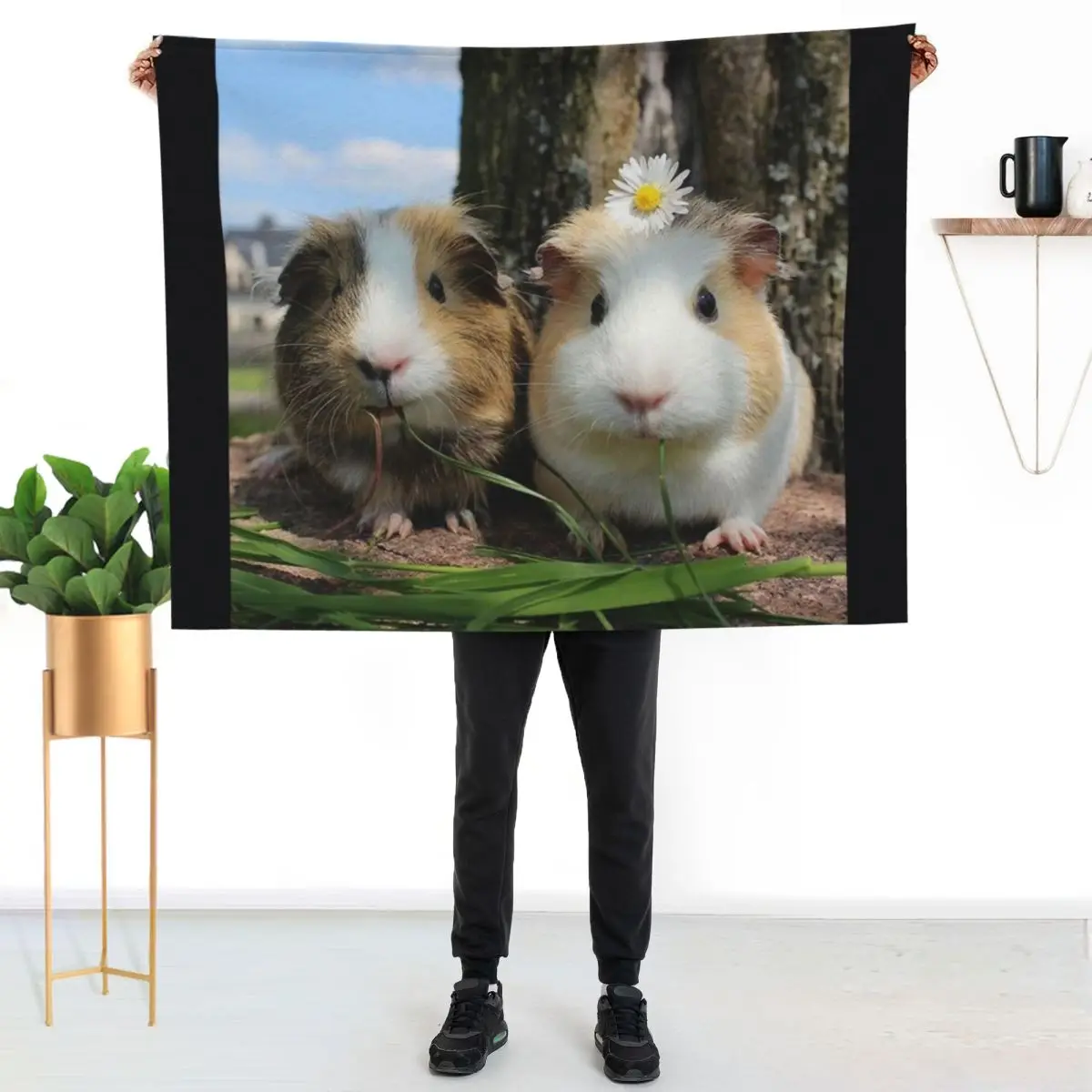 Guinea Pig – Cavy Collection – Model 01 Throw Blanket Soft Plaid Camping Decorative Throw warm winter Hairy Sofa Blankets
